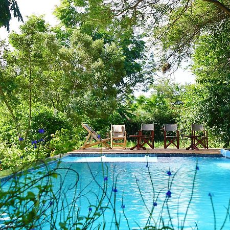 Tanzanice Farm Lodge カラトゥ エクステリア 写真