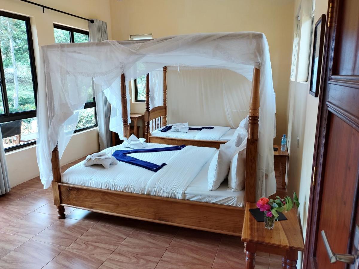 Tanzanice Farm Lodge カラトゥ エクステリア 写真