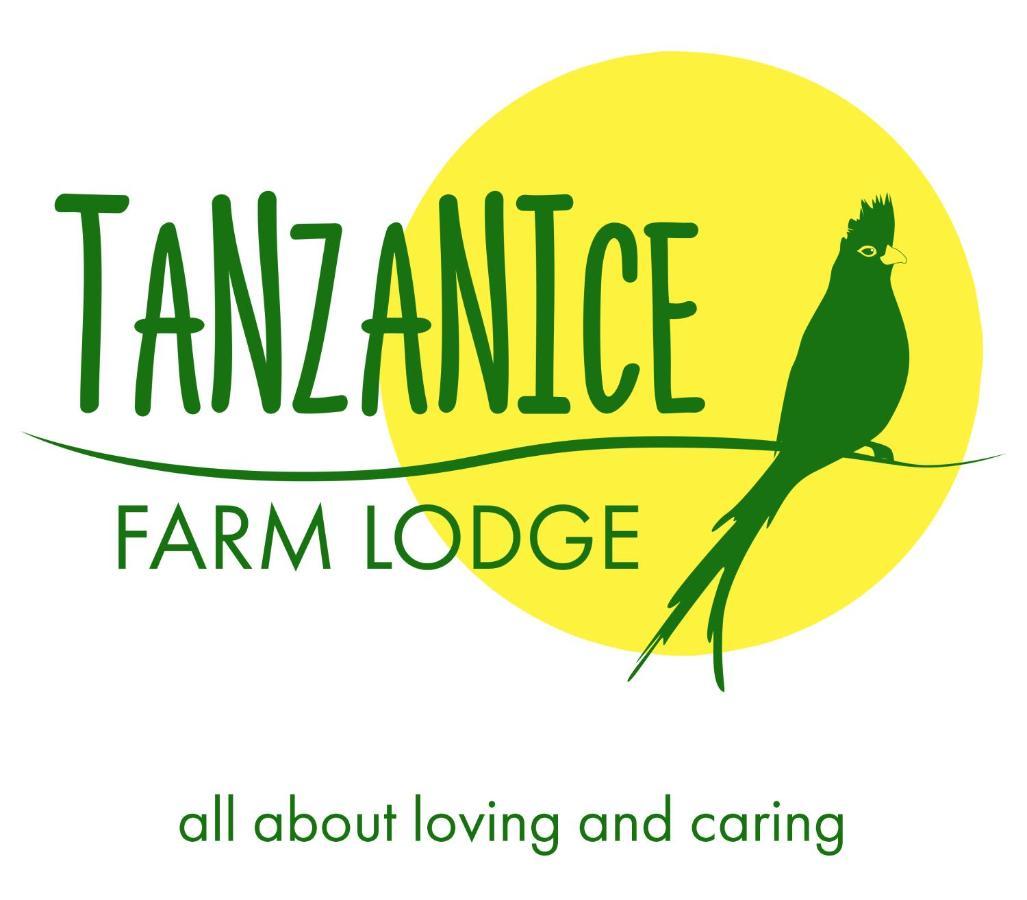 Tanzanice Farm Lodge カラトゥ エクステリア 写真