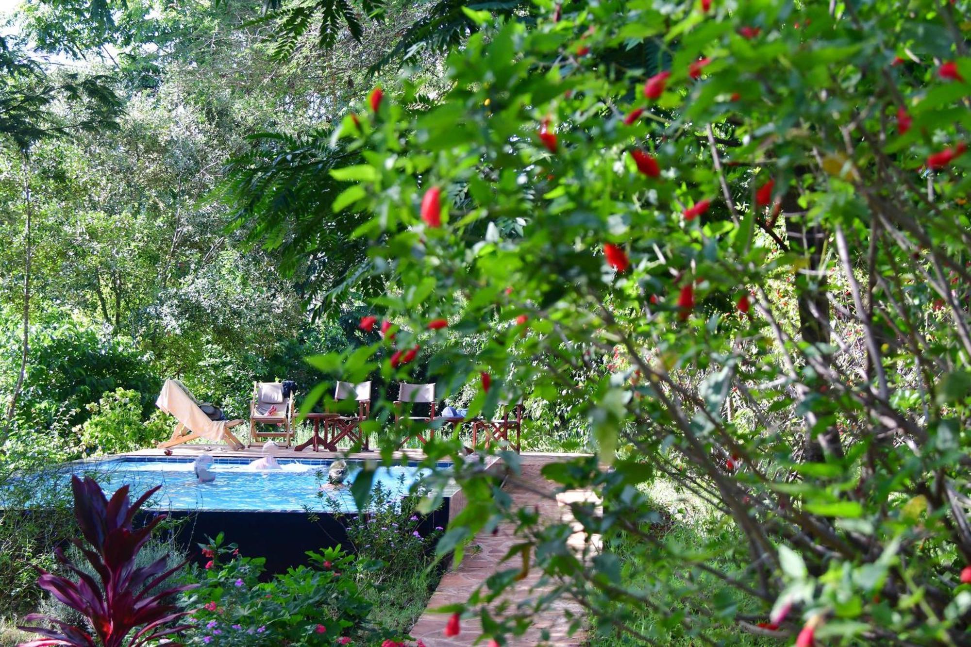 Tanzanice Farm Lodge カラトゥ エクステリア 写真