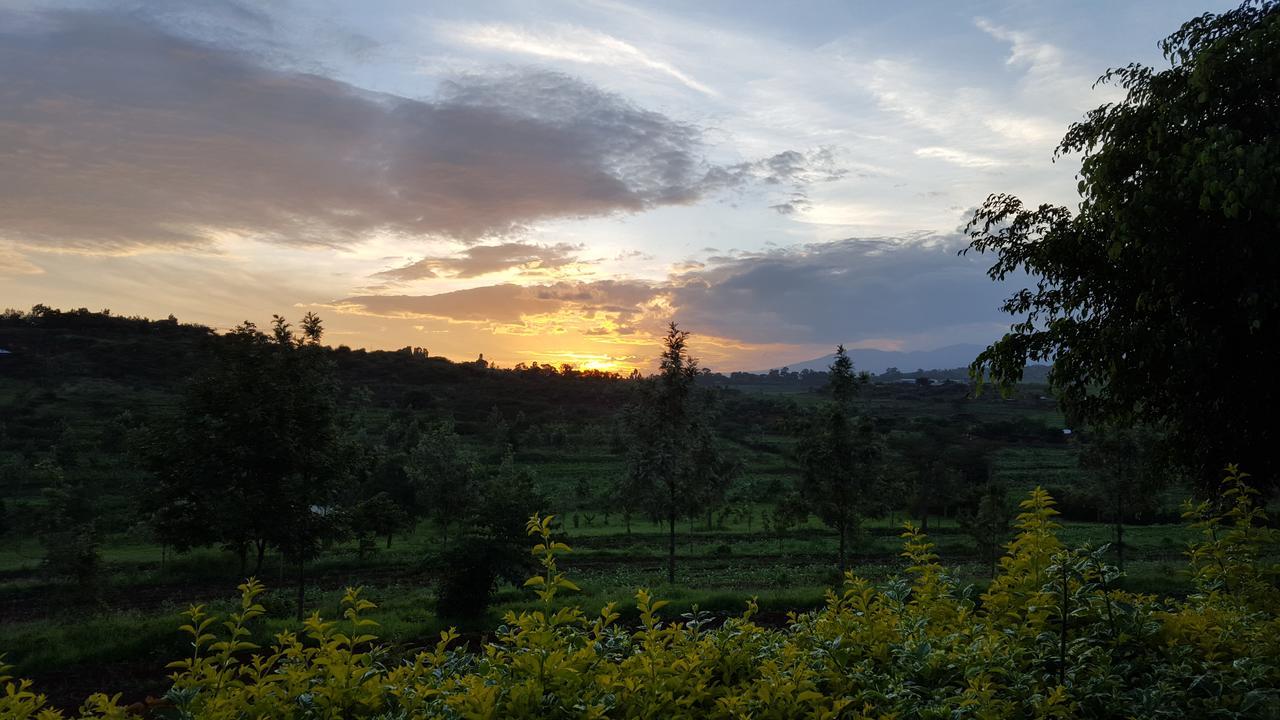Tanzanice Farm Lodge カラトゥ エクステリア 写真